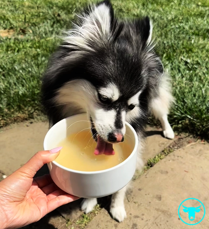 beef bone broth 3.webp beef bone broth 3.webp