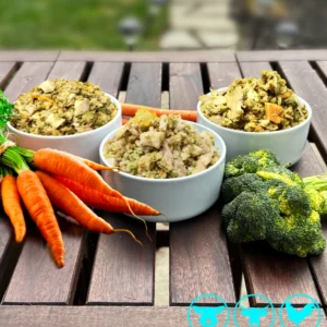 samplers a 800x877 1.webp