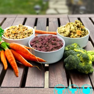 samplers b 800x877 1.webp