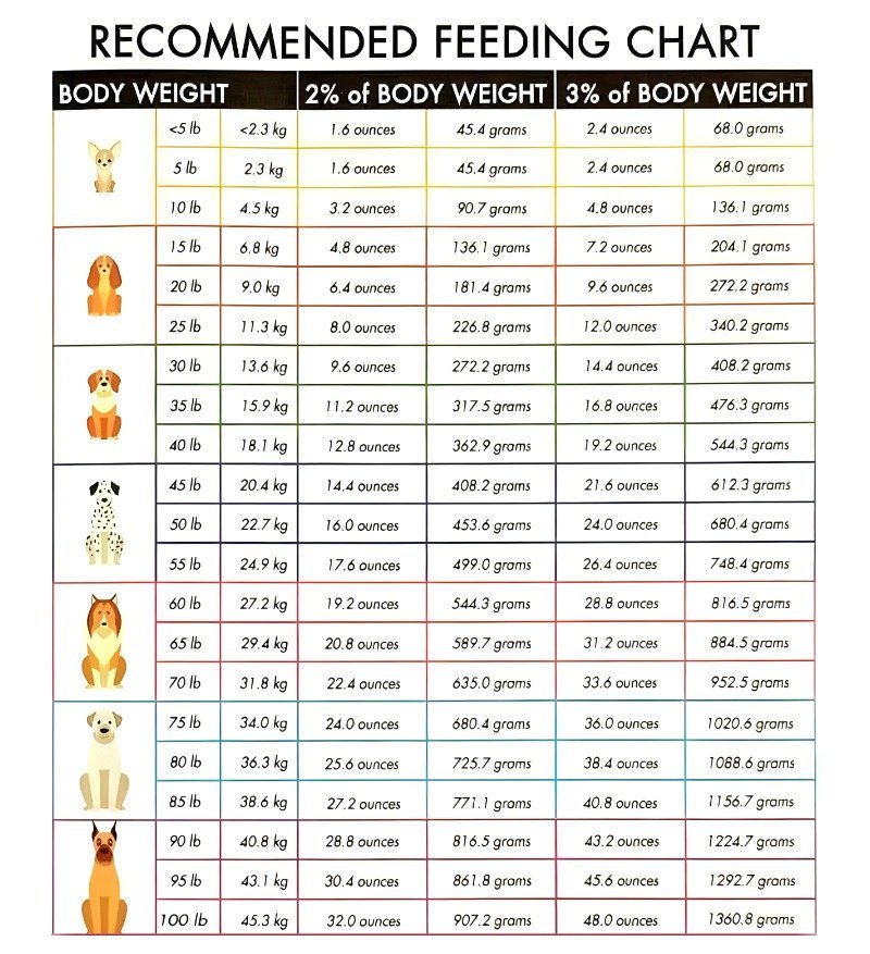 feeding chart 1.jpg feeding chart 1.jpg