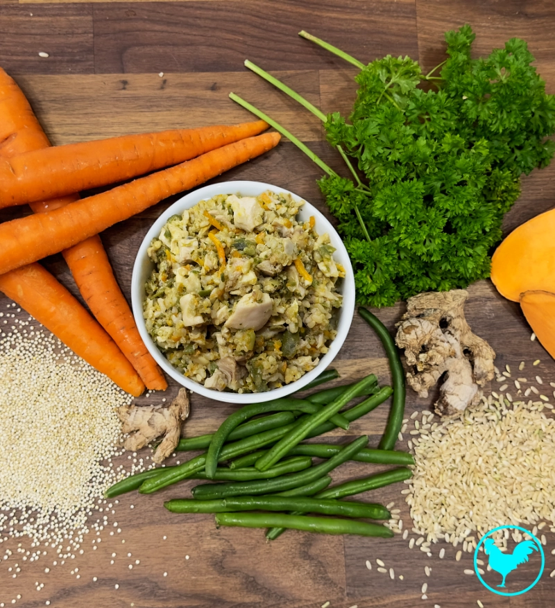 picky eaters b 3487 800x877 1.webp picky eaters b 3487 800x877 1.webp