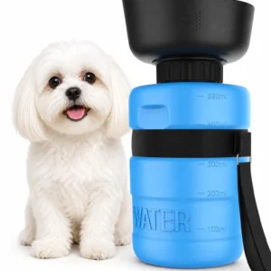 blue1.webp