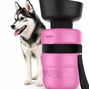 pink1.webp