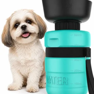 teal1.webp