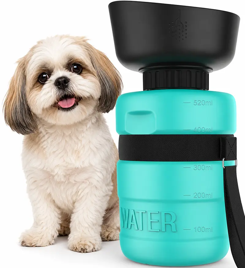 teal1.webp teal1.webp