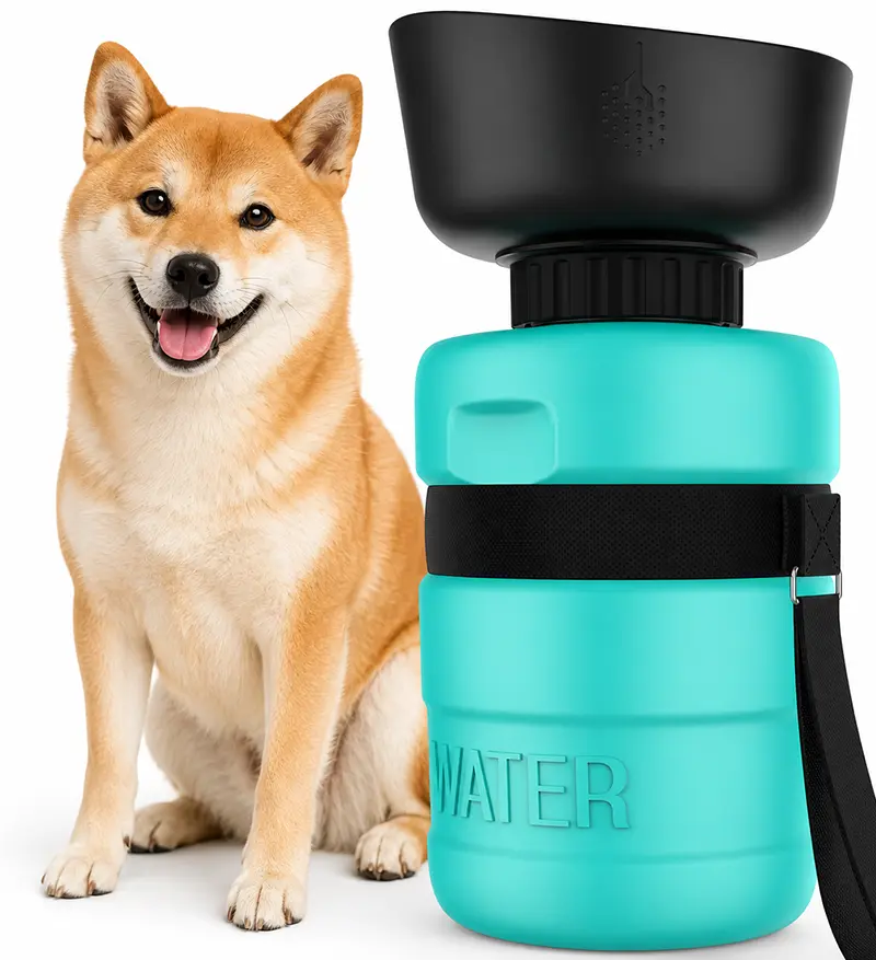 teal4.webp teal4.webp